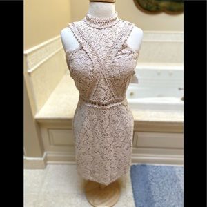 NWT Soieblu Unique Light Tan Lacey Sexy Fitted lace up dress Chic and Fab M
